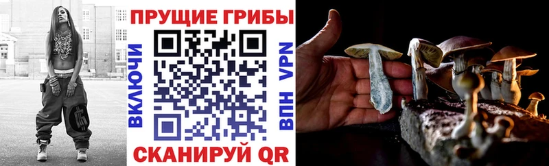 как найти закладки  Дмитров  площадка клад  Галлюциногенные грибы мухоморы 