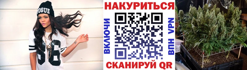 ОМГ ОМГ как зайти  Дмитров  МАРИХУАНА сатива 